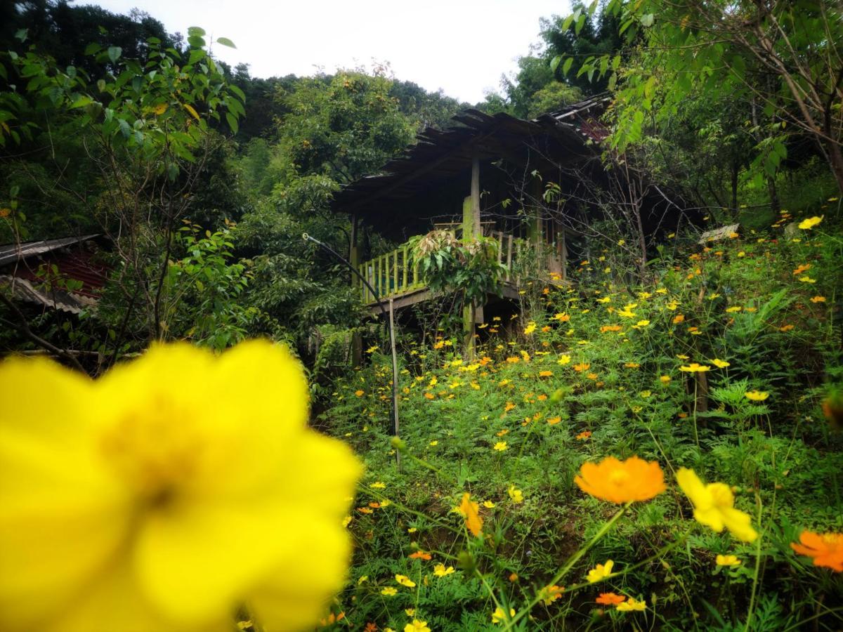 Lao San Chay Mu Cang Homestay מראה חיצוני תמונה